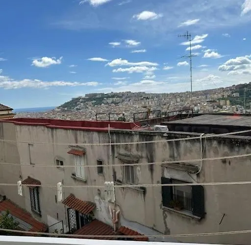 White House Daire Napoli