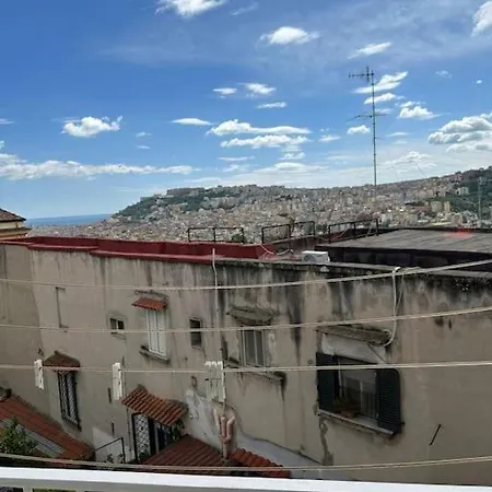 White House Daire Napoli